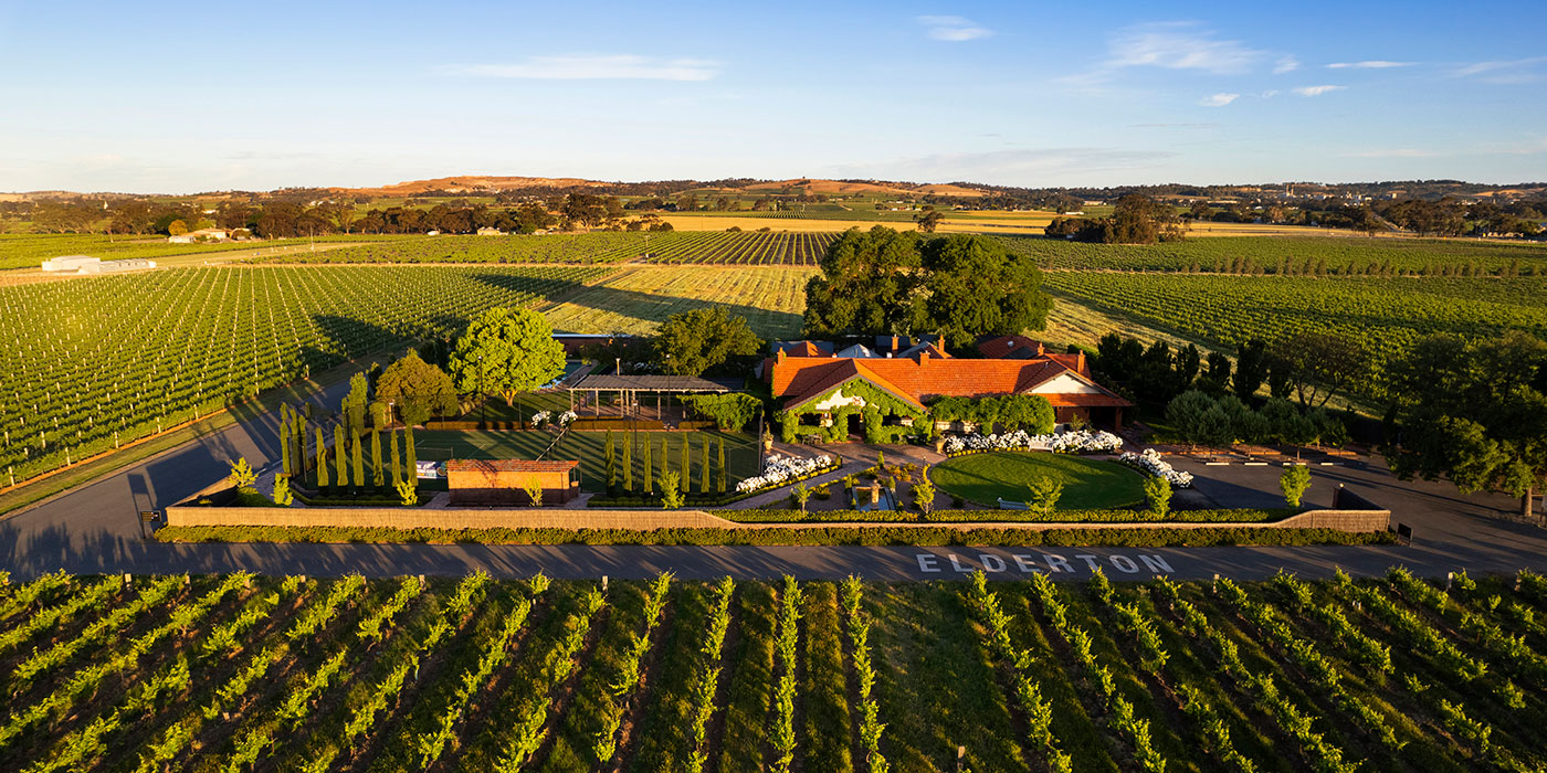 Small Victories Cellar Door co-located with Elderton - two wineries owned by the Ashmead family